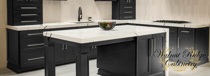 Shaker Black Kitchen Cabinets